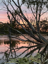 Beautiful morning light