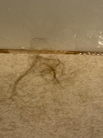 Clump of hair right outside the shower.
