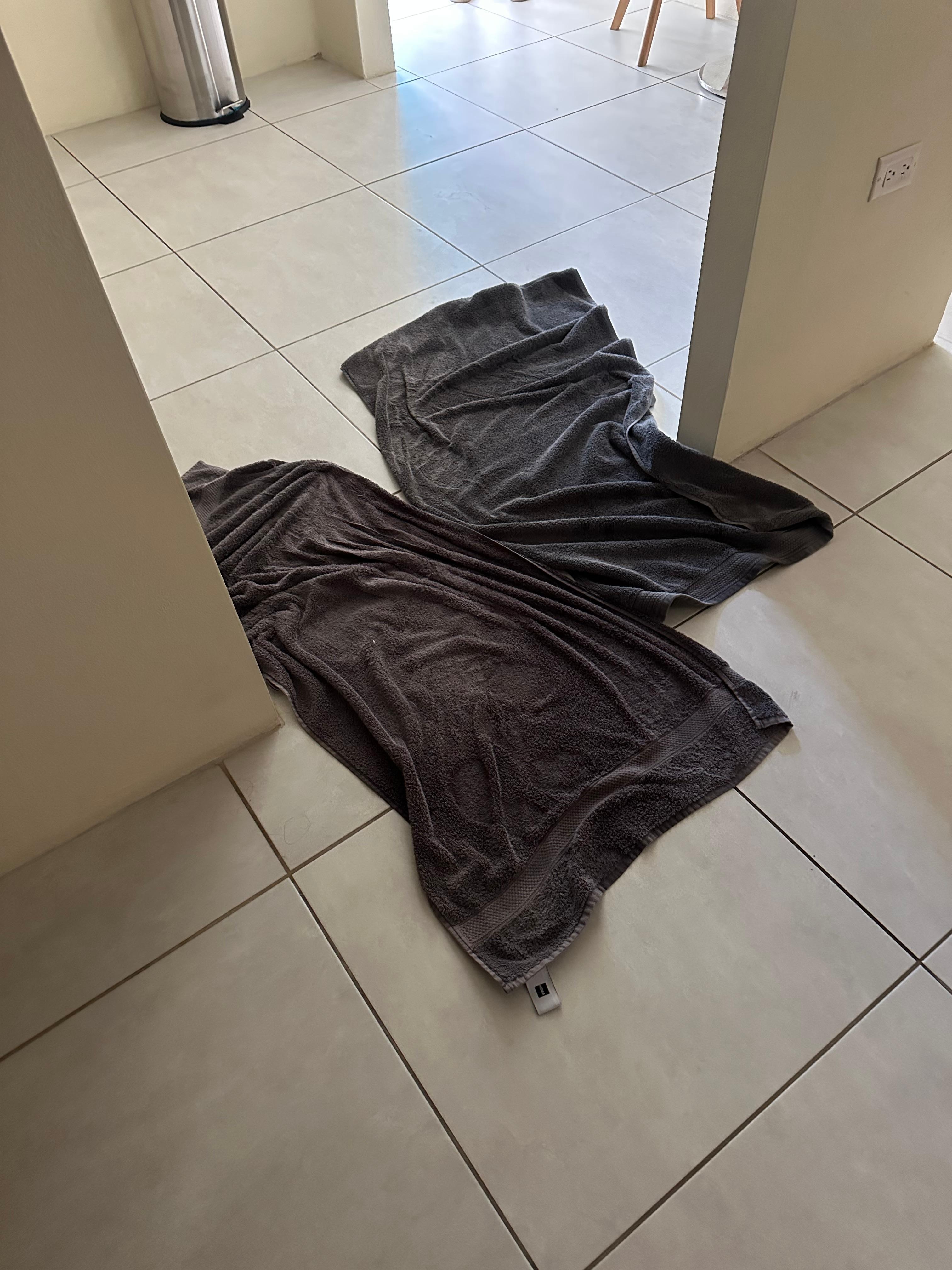 Towels from the bathroom we used to soak all the water on the floor!