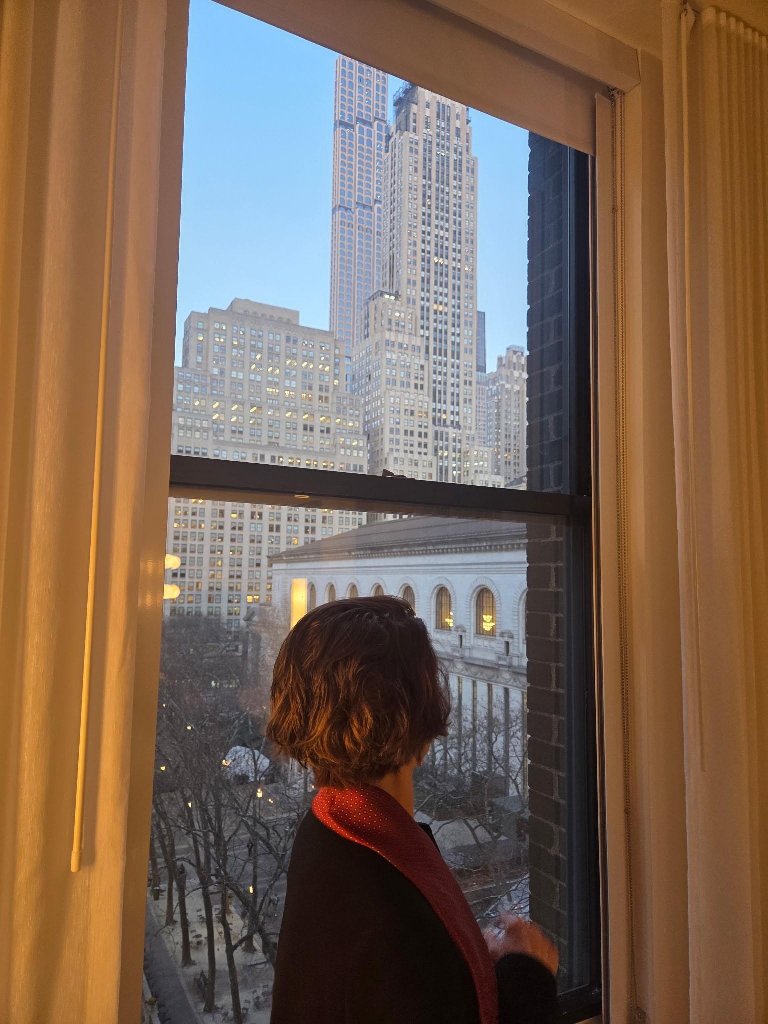 Sigh ... the quintessential New York view 