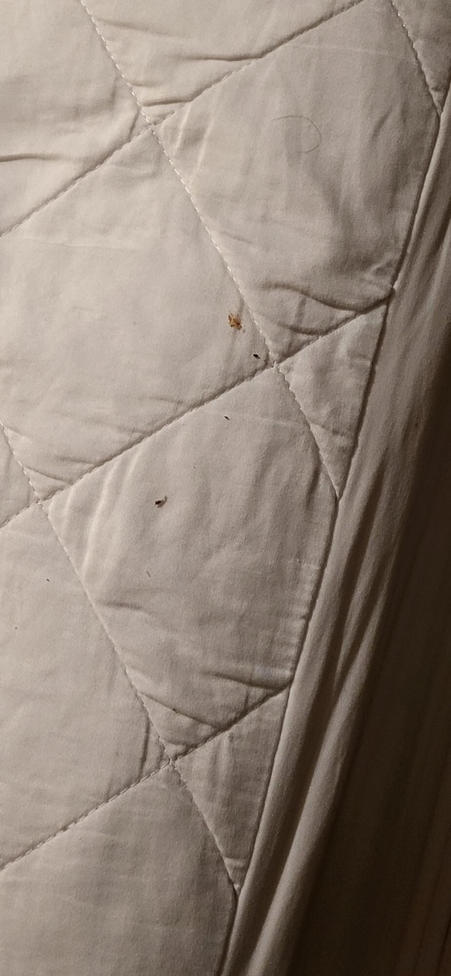 Filth in bed in the second room