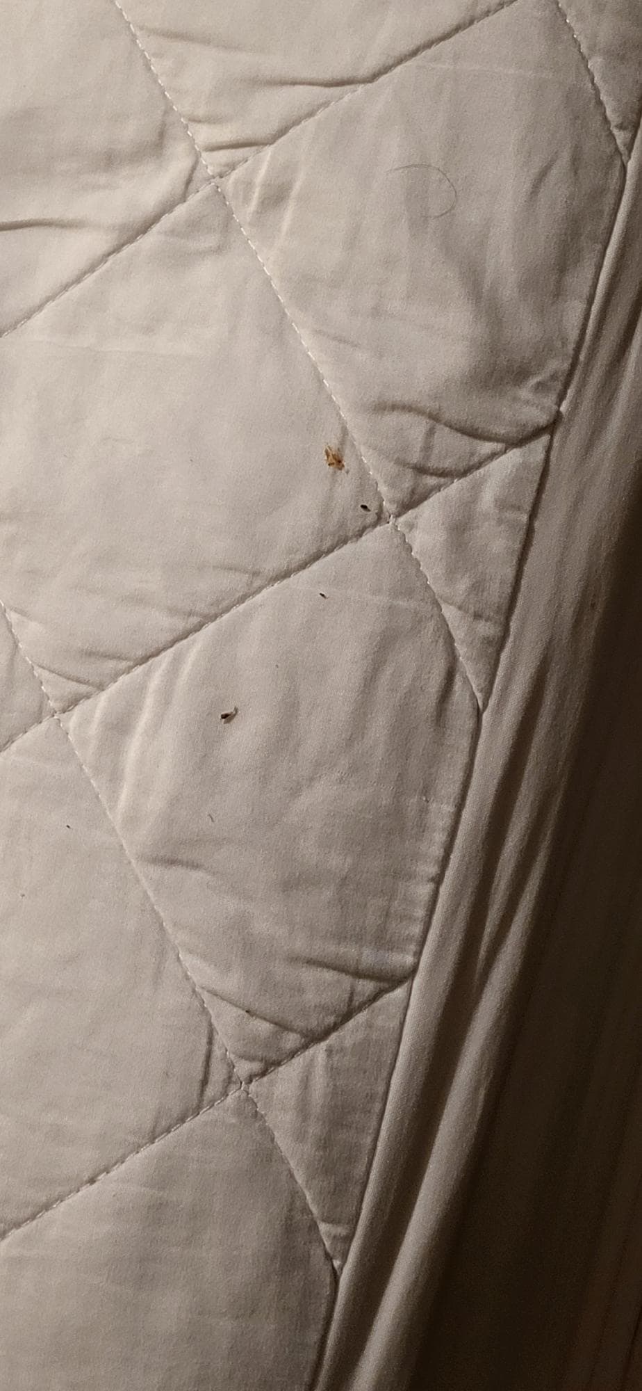 Filth in bed in the second room