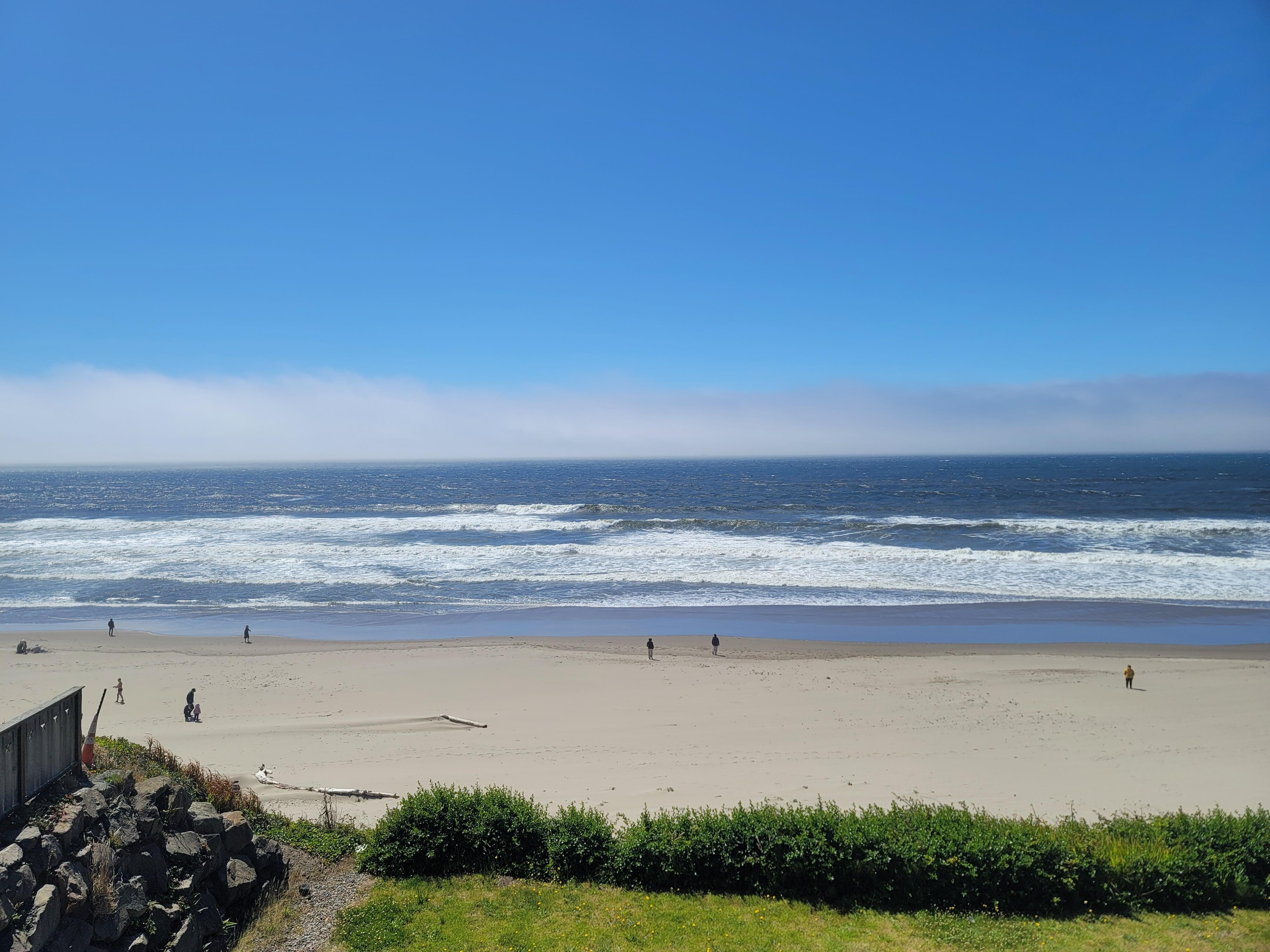 View from patio