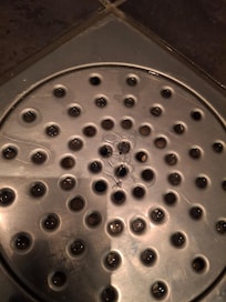 douche