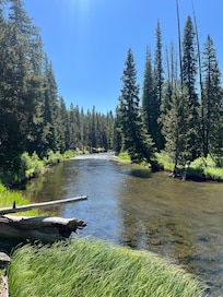 In Yellowstone