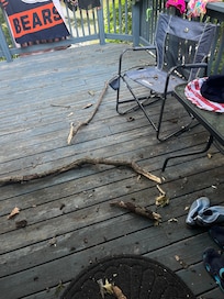Fallen tree limb on upper deck