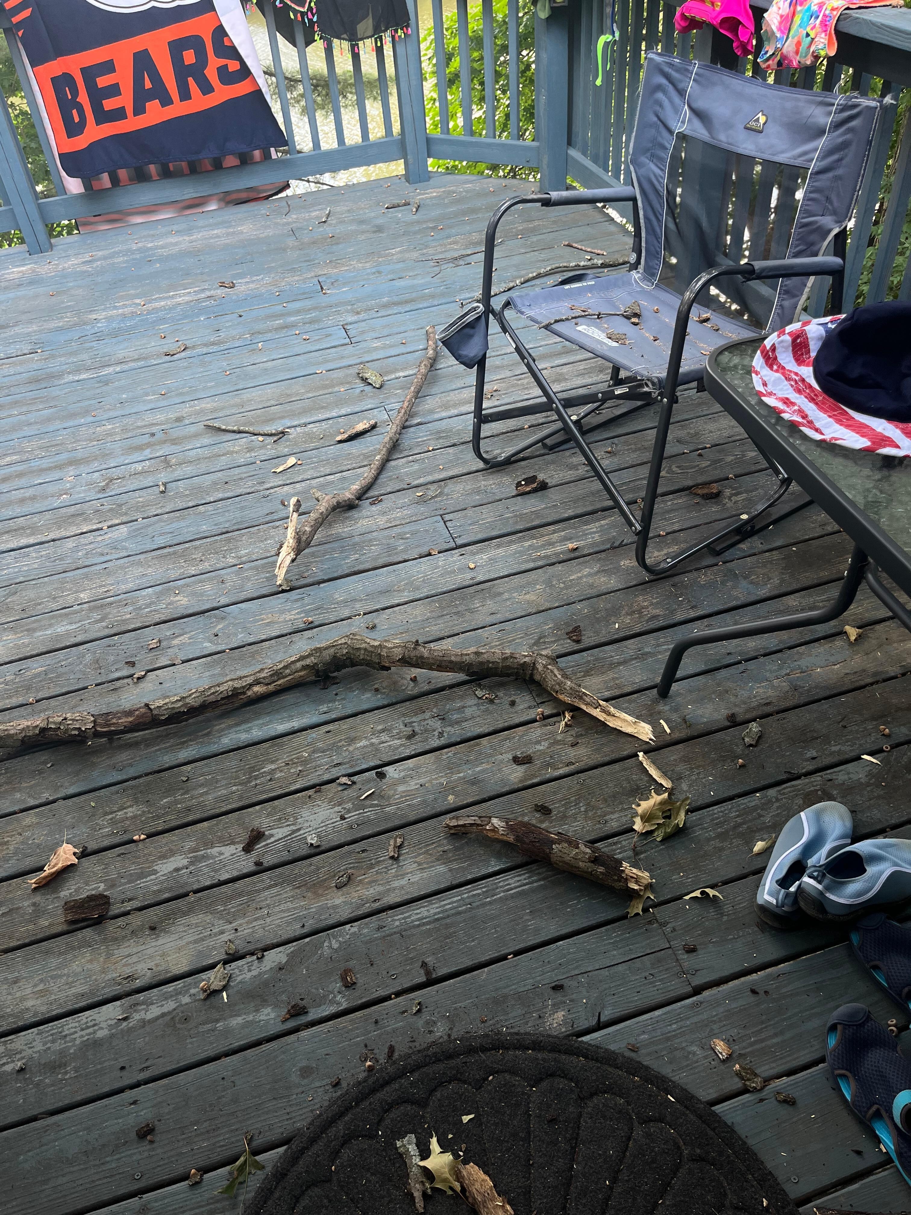 Fallen tree limb on upper deck