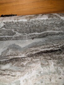 Picture of roach on the kitchen counter.