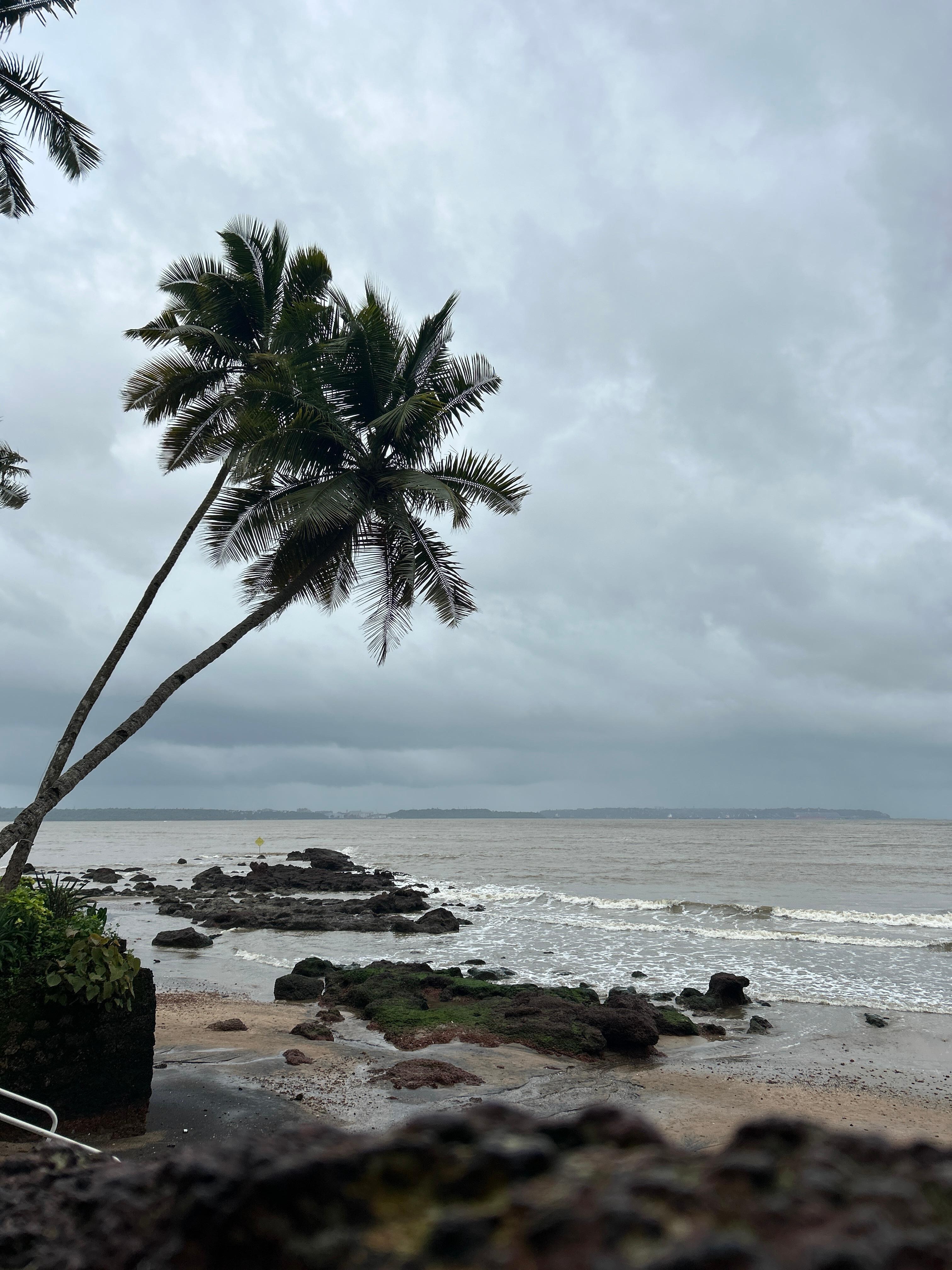 Bambolim beach view