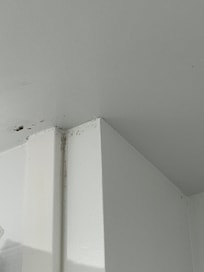 Mold