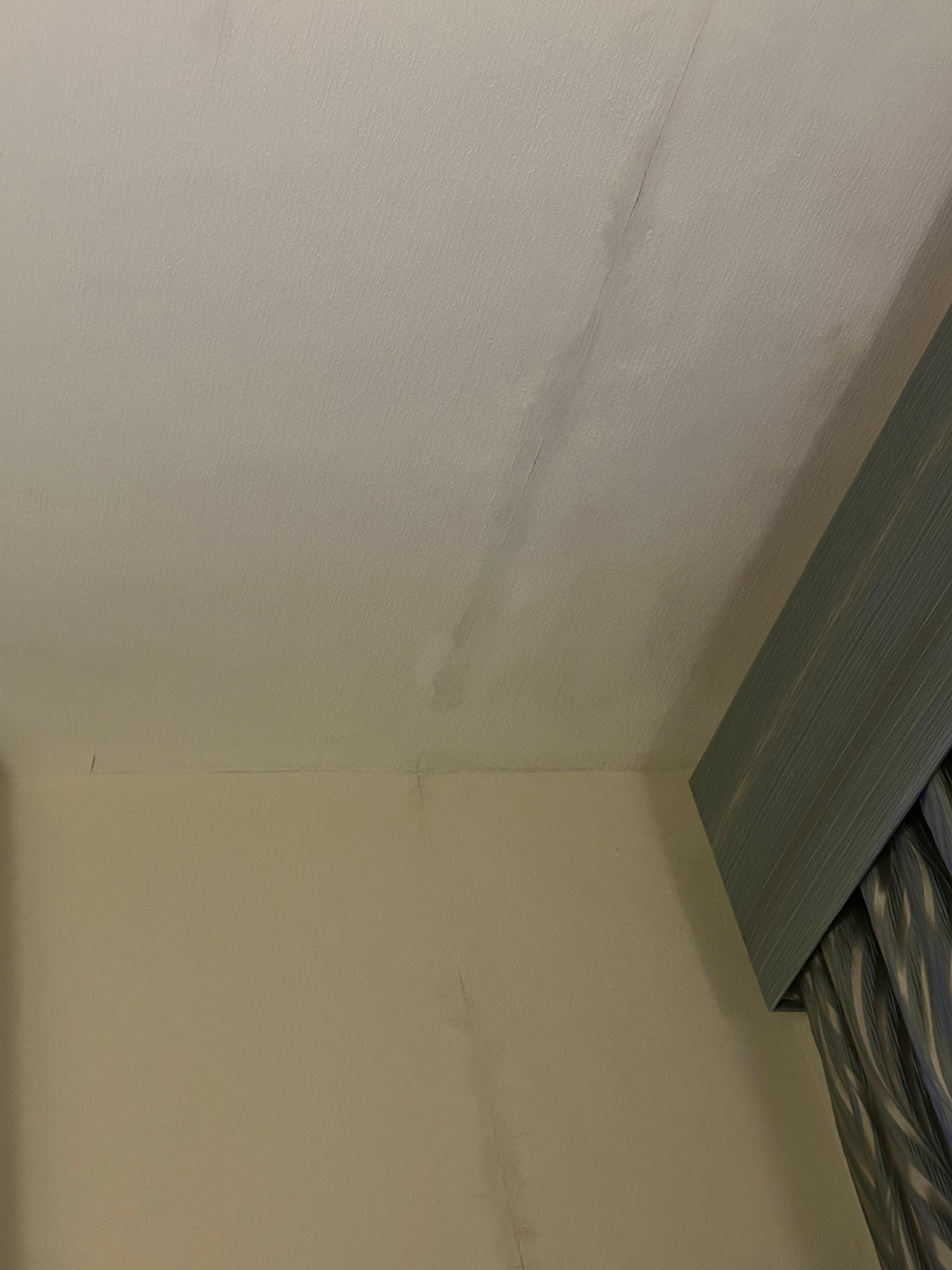 Damp wall and ceiling 