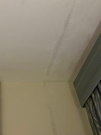 Damp wall and ceiling