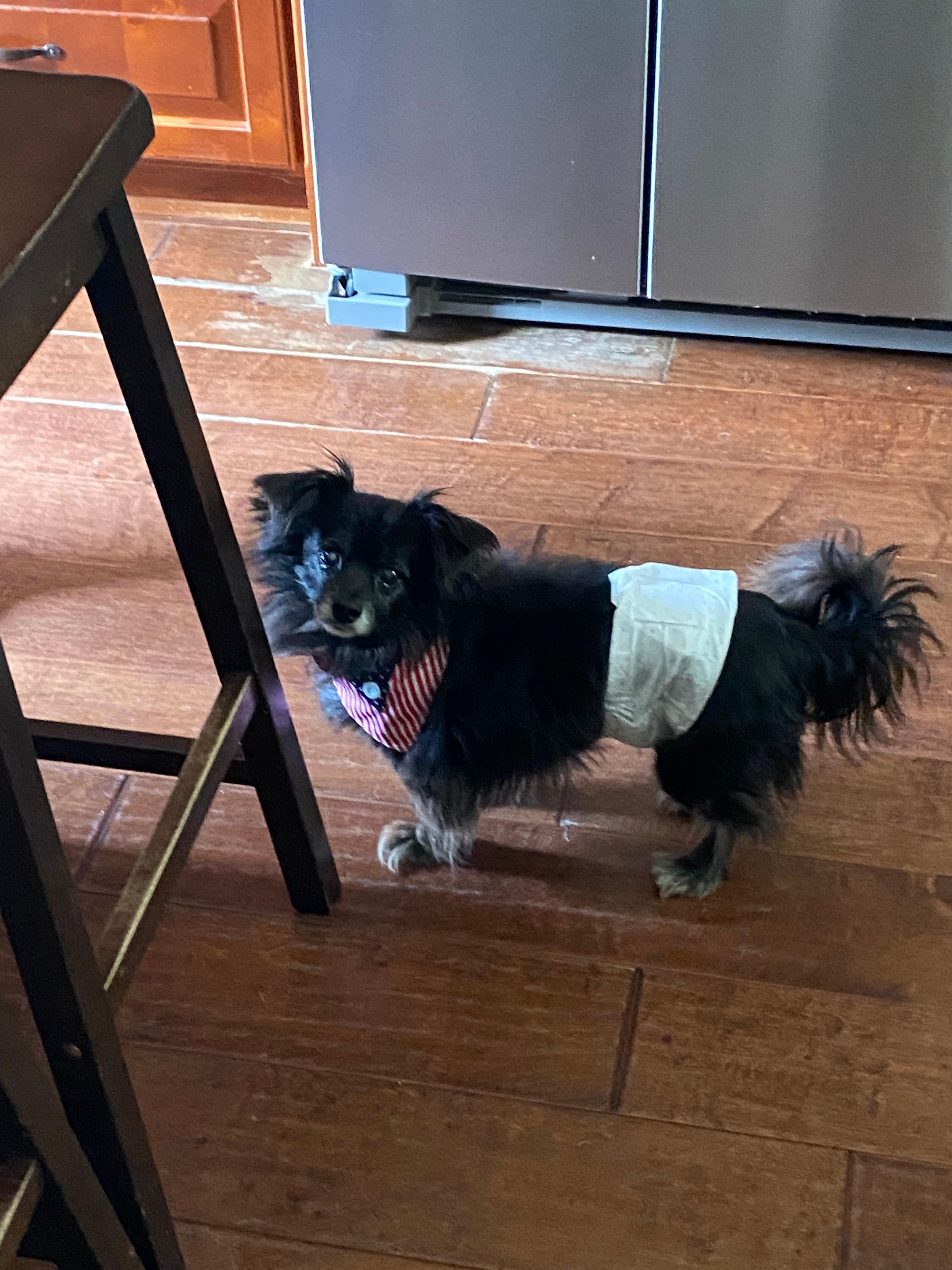 All dressed up for the celebration!