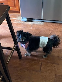 All dressed up for the celebration!