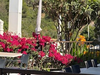 The patio