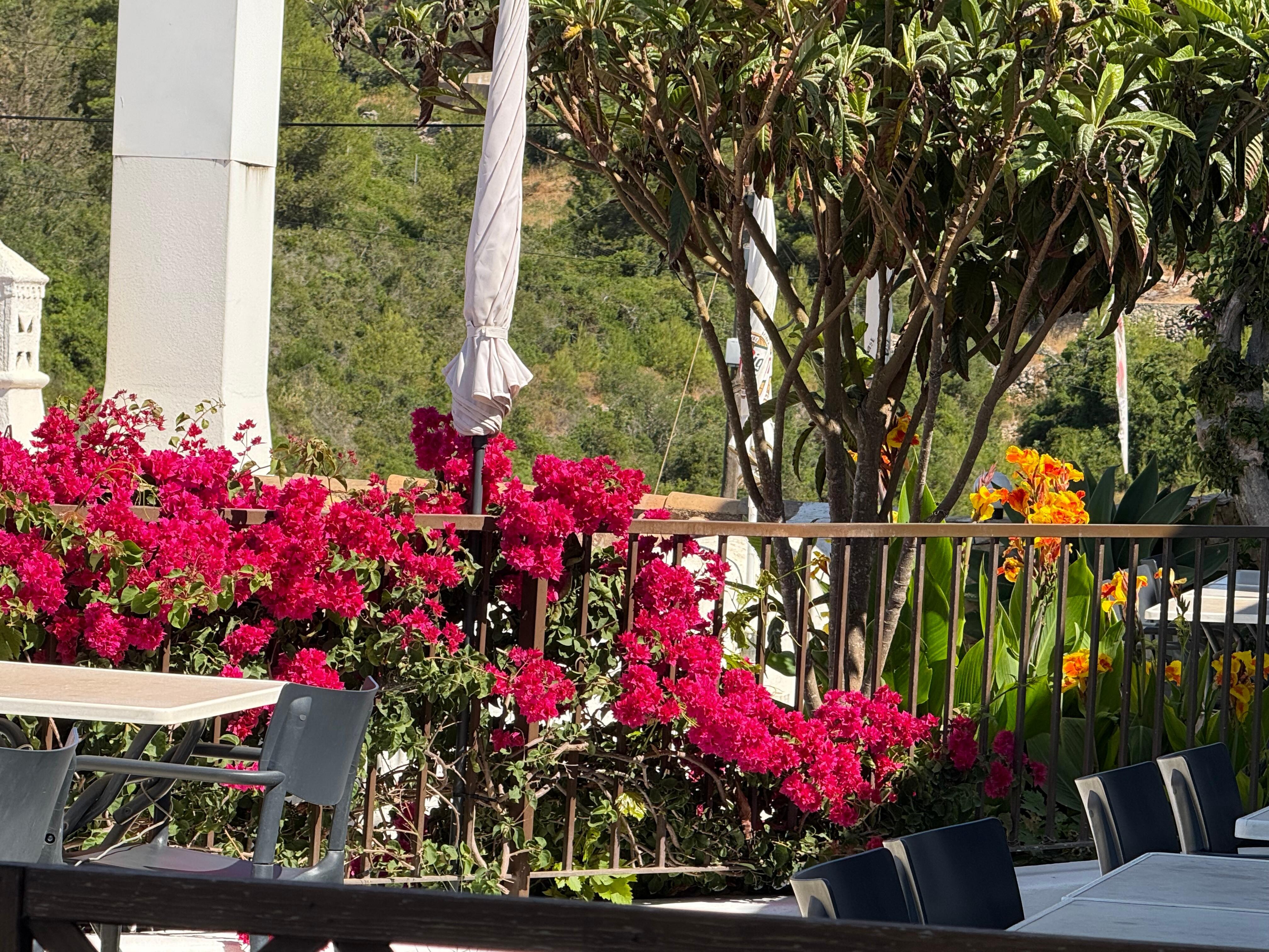 The patio