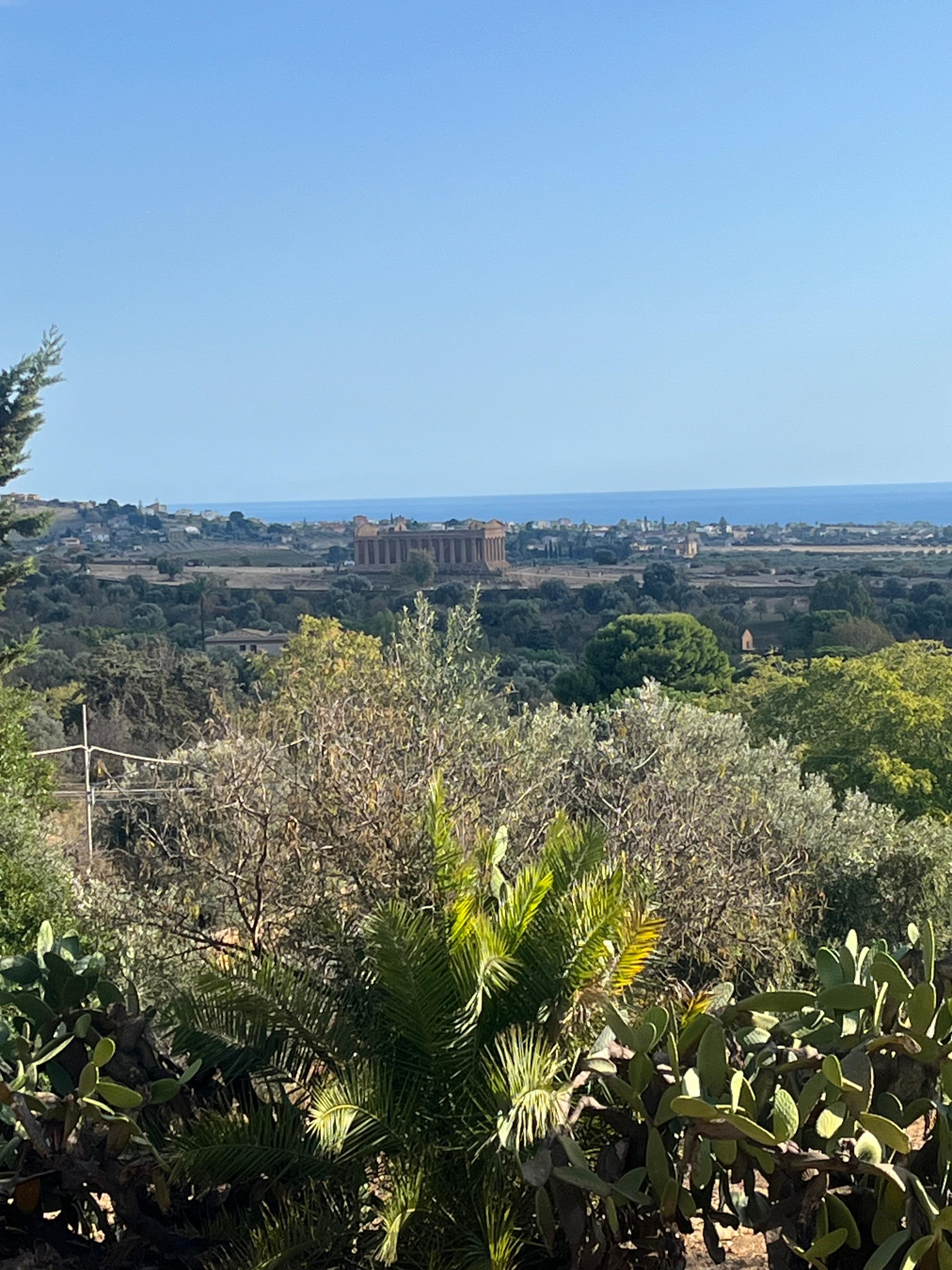 Another view from the upstairs dining area