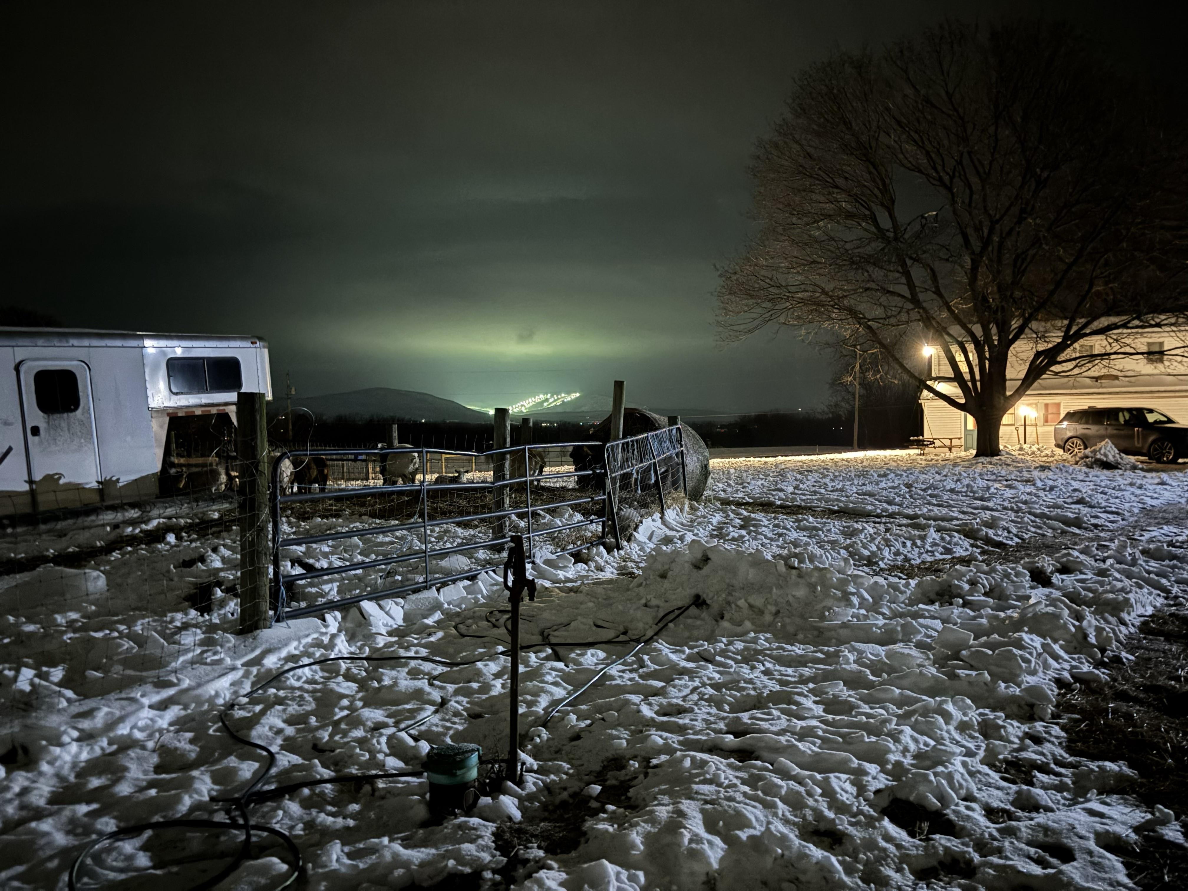 The home and Whitetail in the background.
