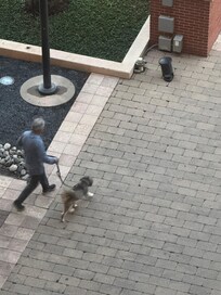 Dog friendly, (kind of). Not a lot of places to walk around this area.