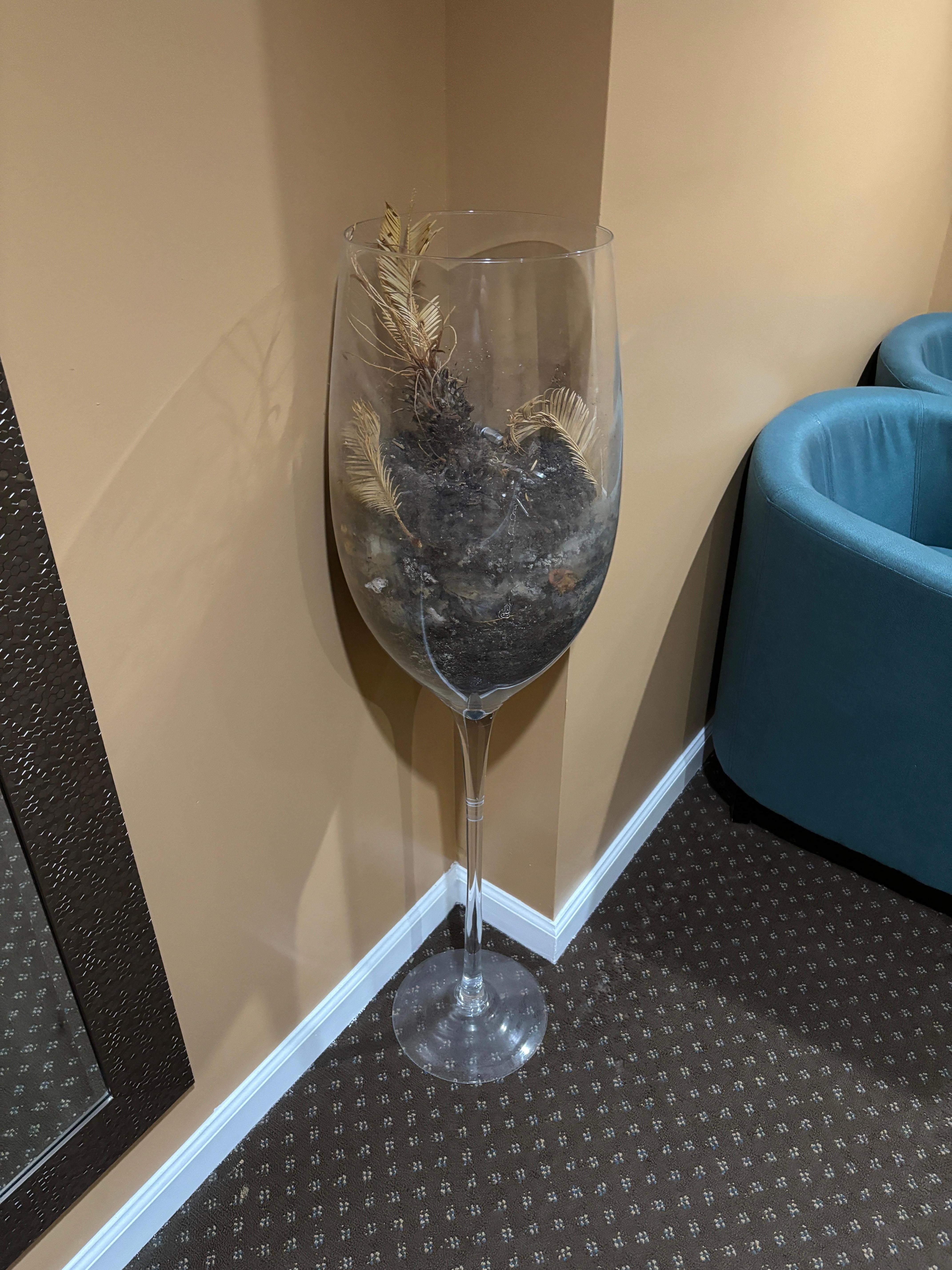 The hotel is so muggy