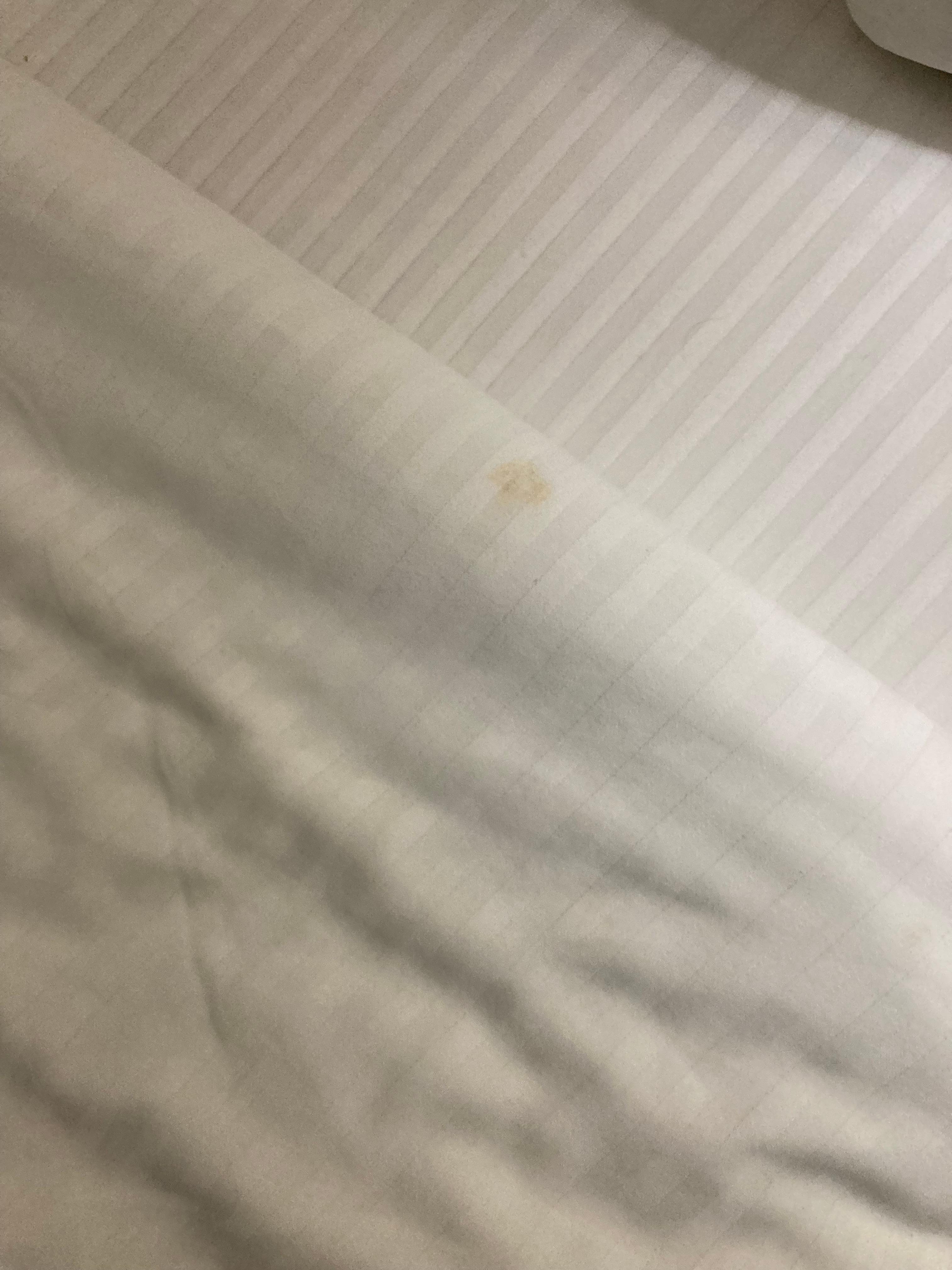 The sheets are stained and torn