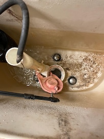 Deteriorated toilet flapper in primary bathroom.