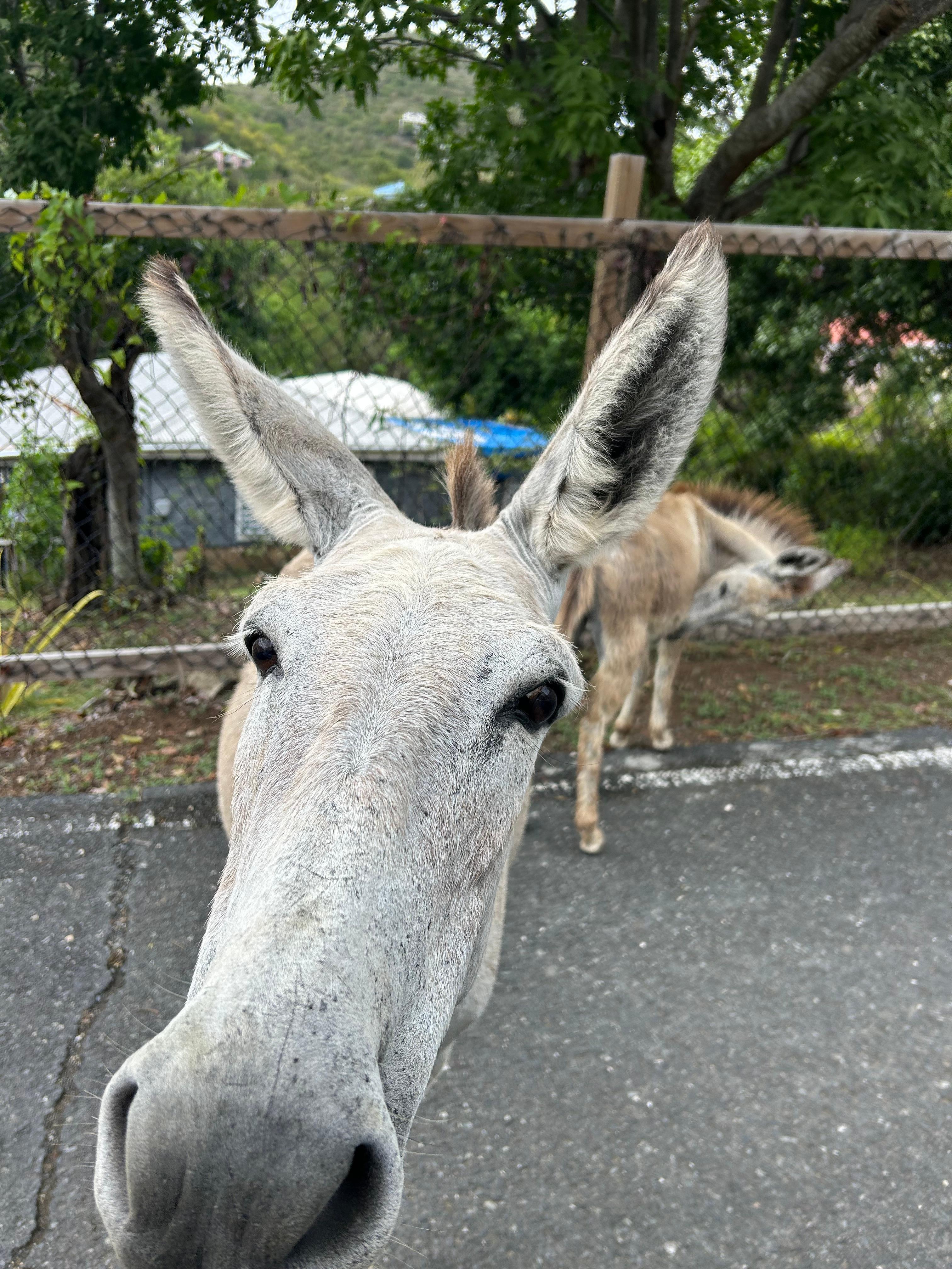 Friends along the way