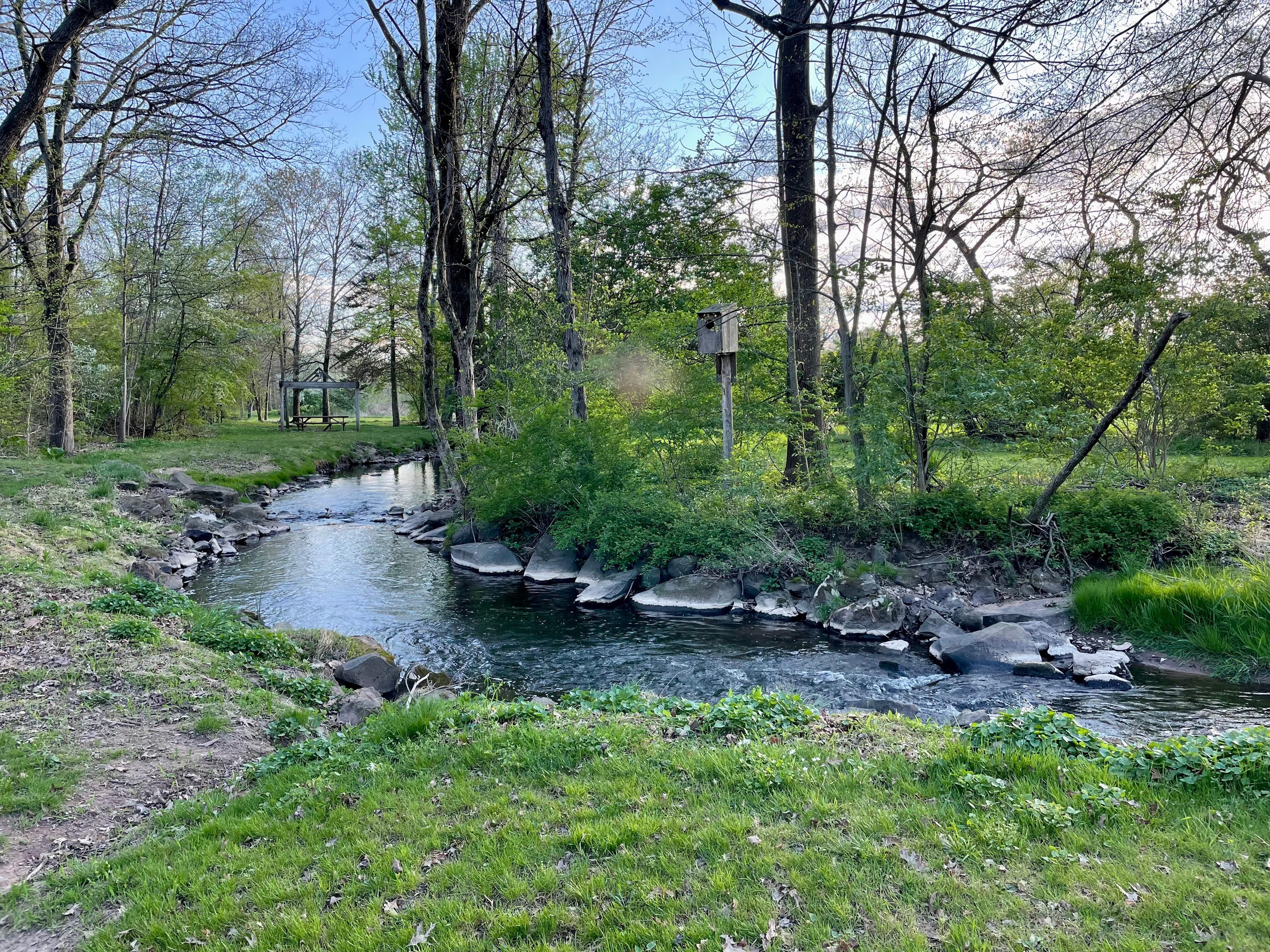 Creek below the cabin. 