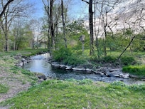 Creek below the cabin.