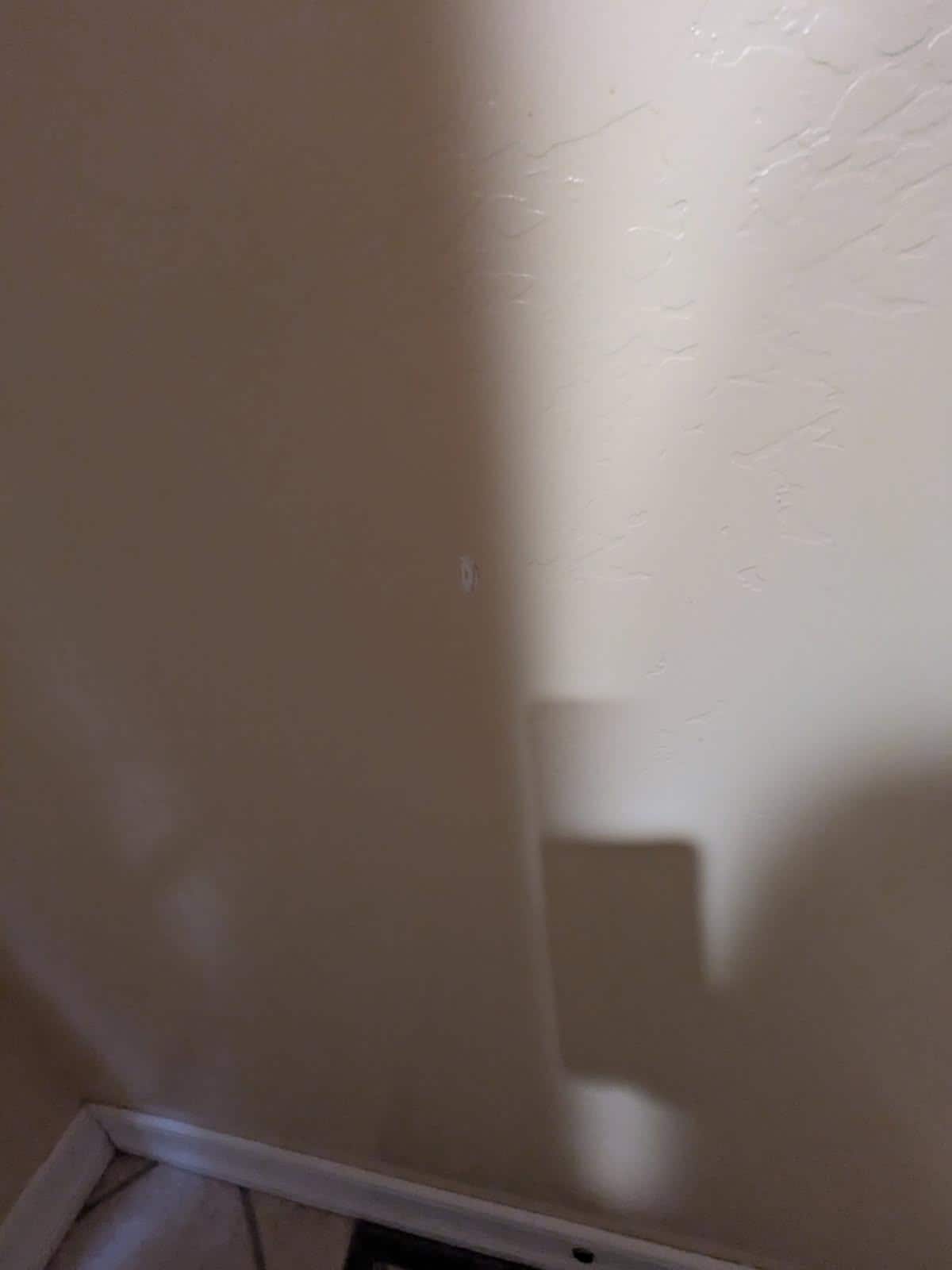 Many of the walls and doors were chipped or scratched. You could see where holes were repaired but not not painted so visually very dilapidated. 