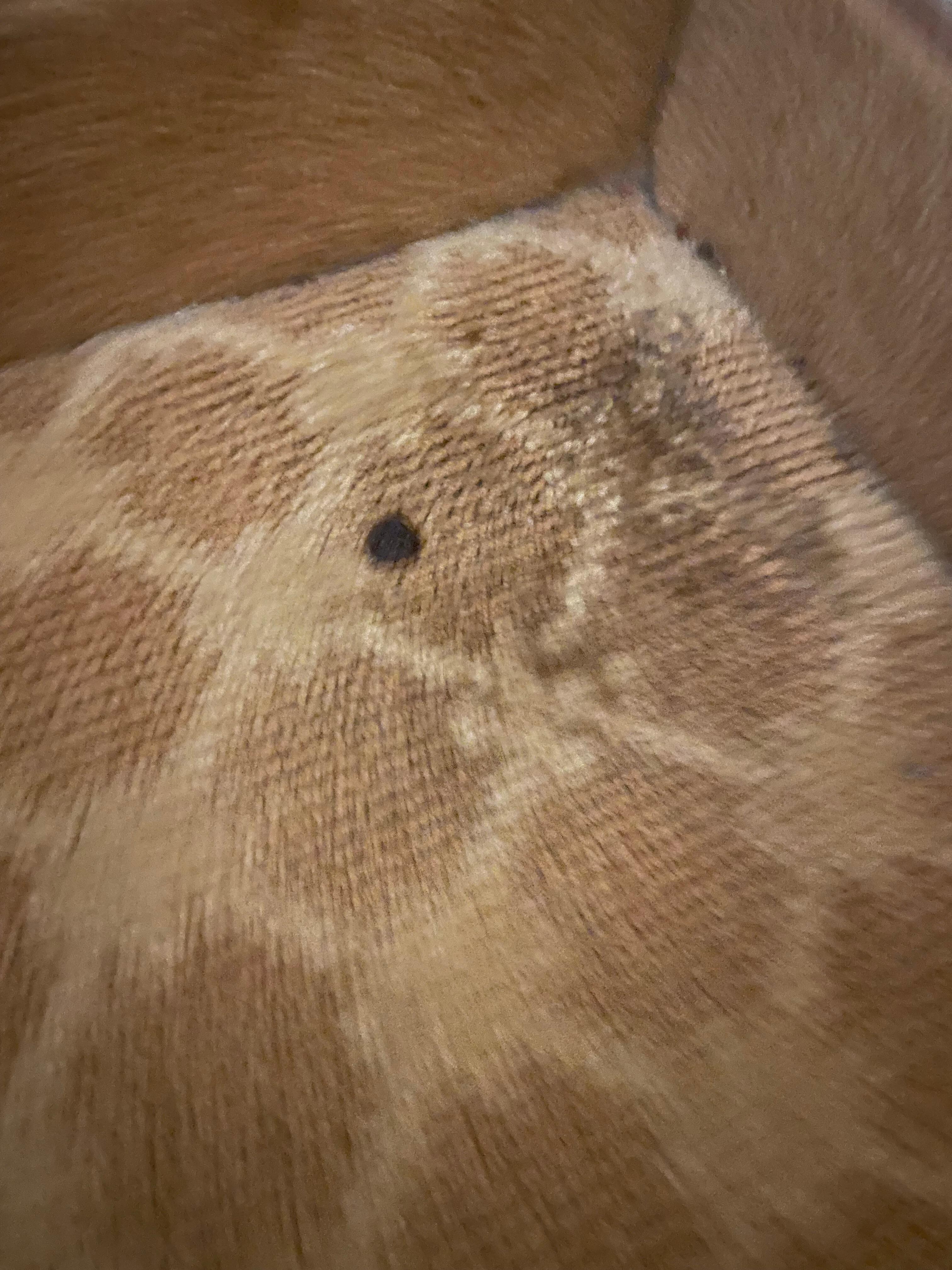 Entire floor was dirty