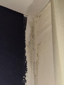 Mold