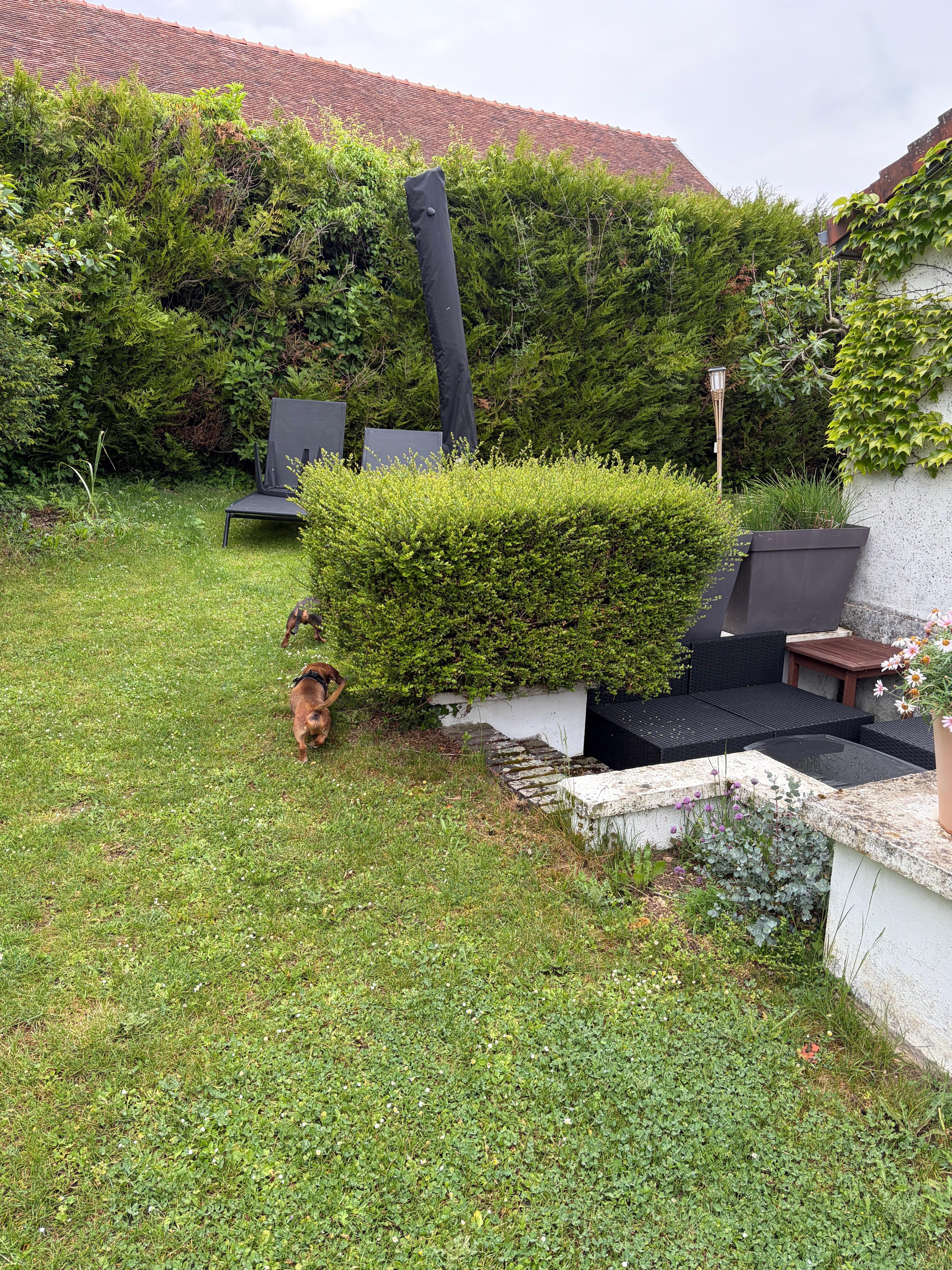 Garten direkt am Haus