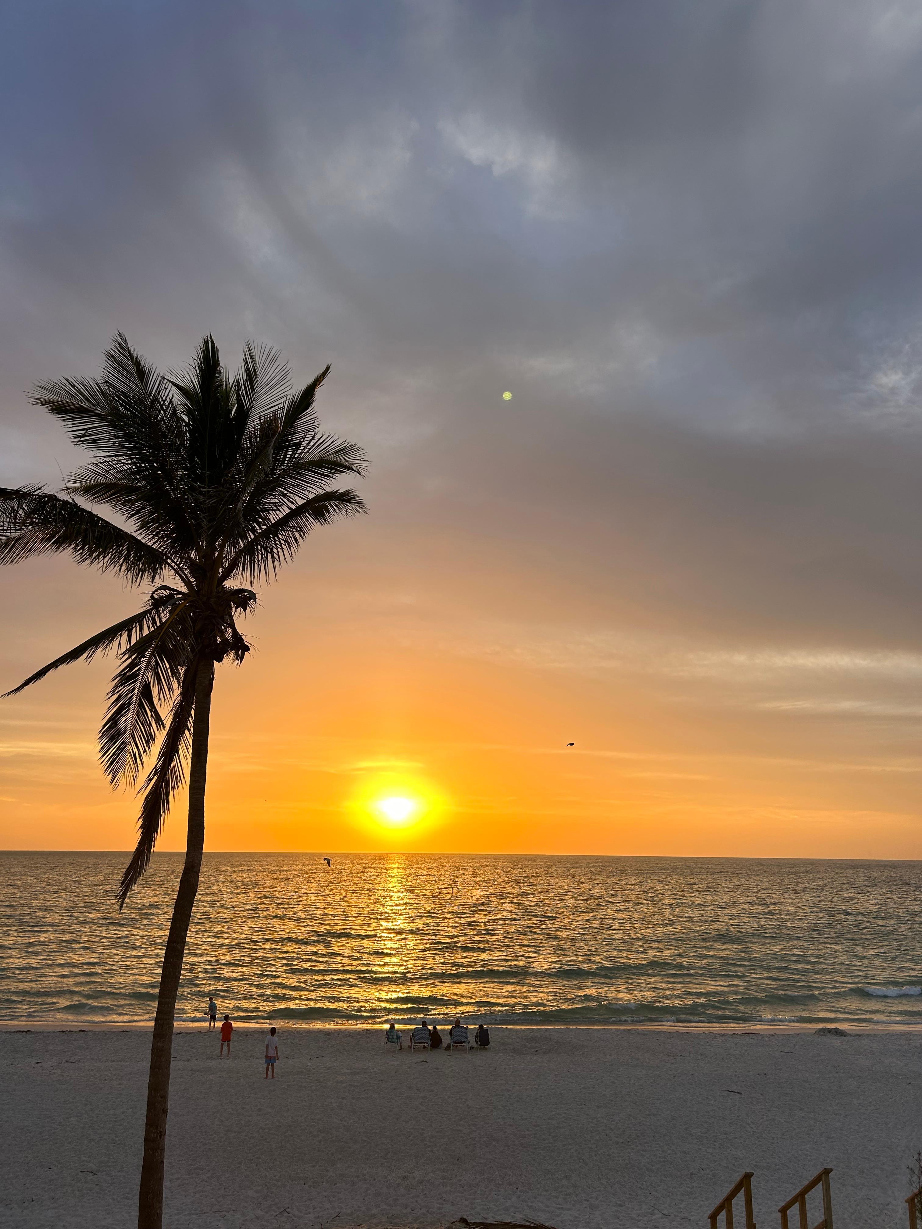 Beautiful sunset