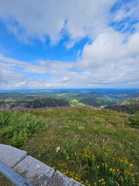 Feldberg