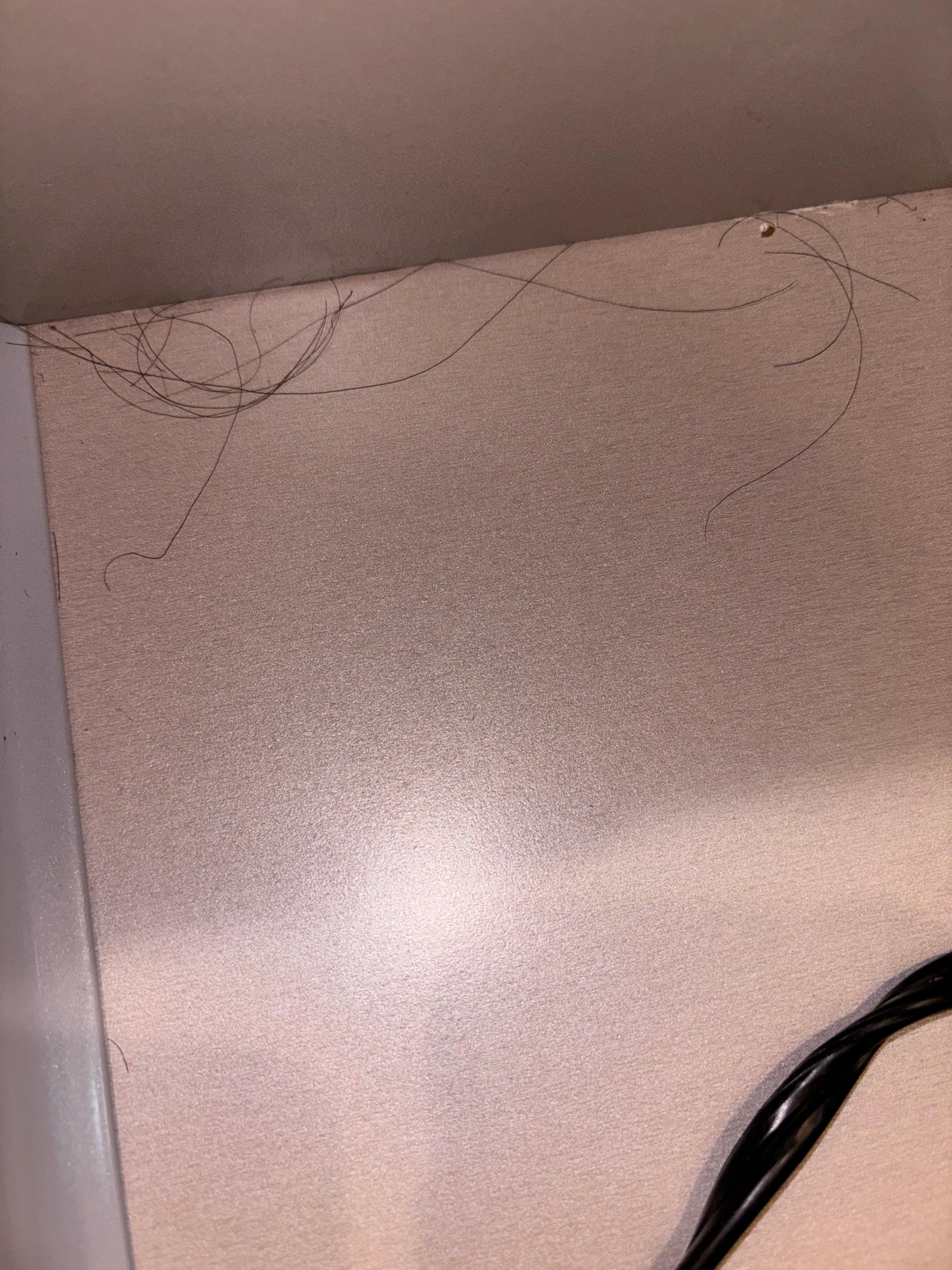 Clump of hair in bathroom drawer