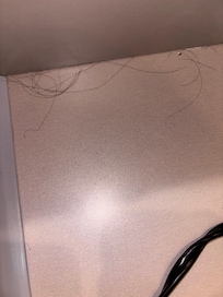 Clump of hair in bathroom drawer