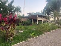 Walking back from a jungle hike