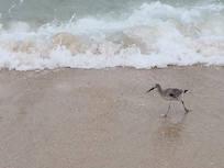 On the beach