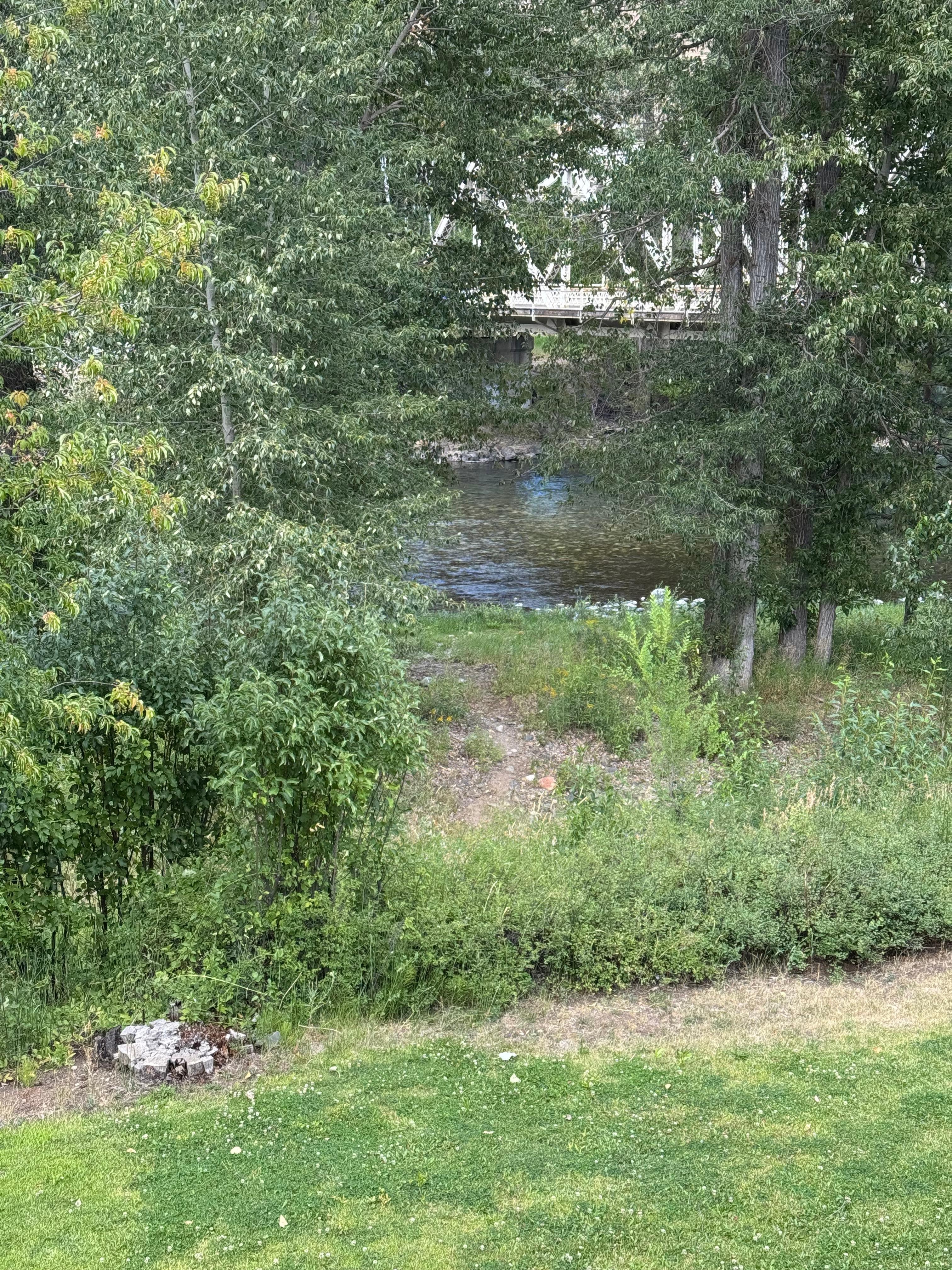 View of river