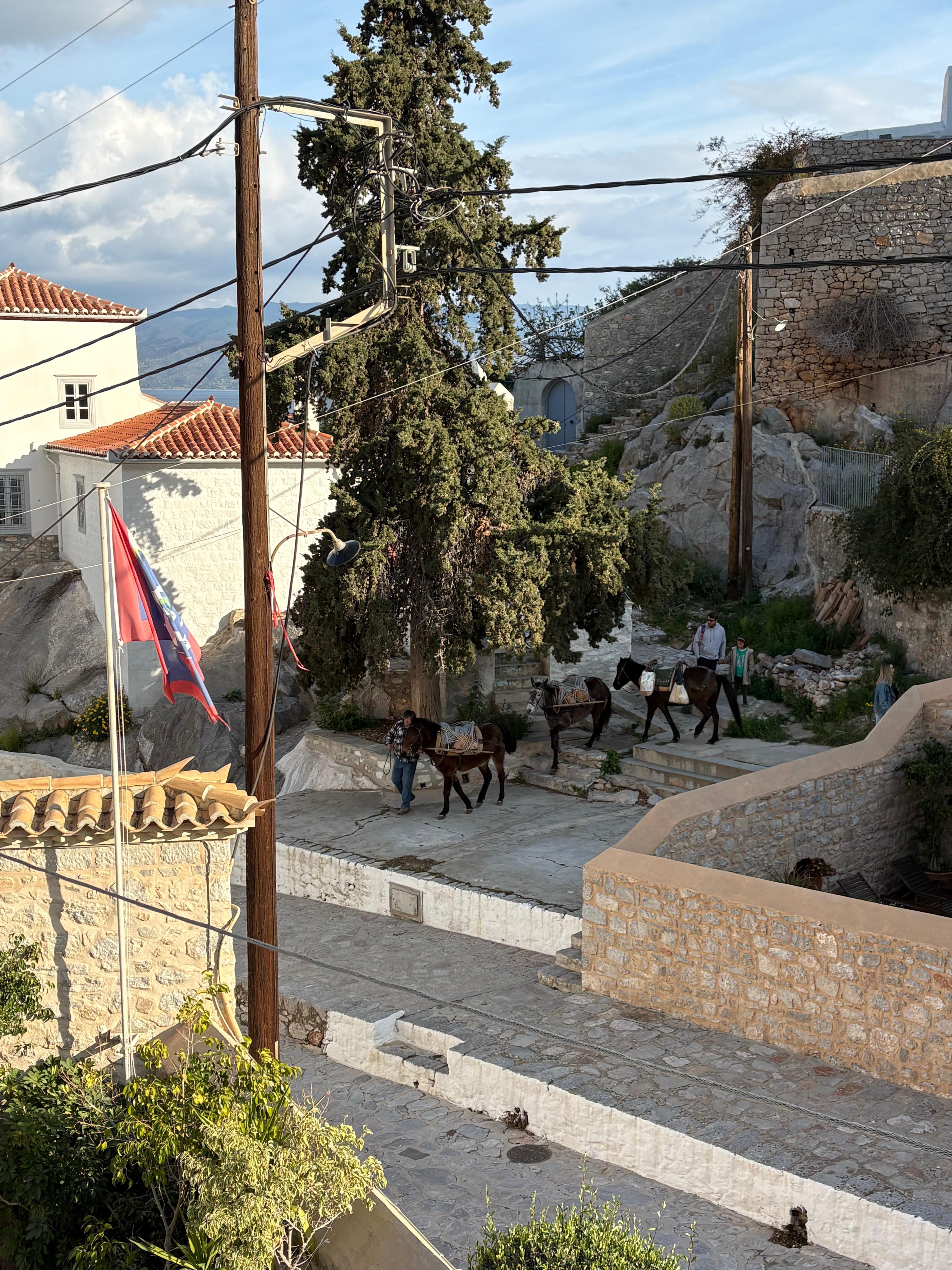 View from room of the donkeys coming down for the day.