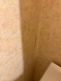 Peeling wallpaper. Thought it was live pic to hear toilet running after flush.