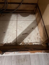 Under the sink almost threw up looks like rats lived in there!