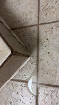 Shower flooding
