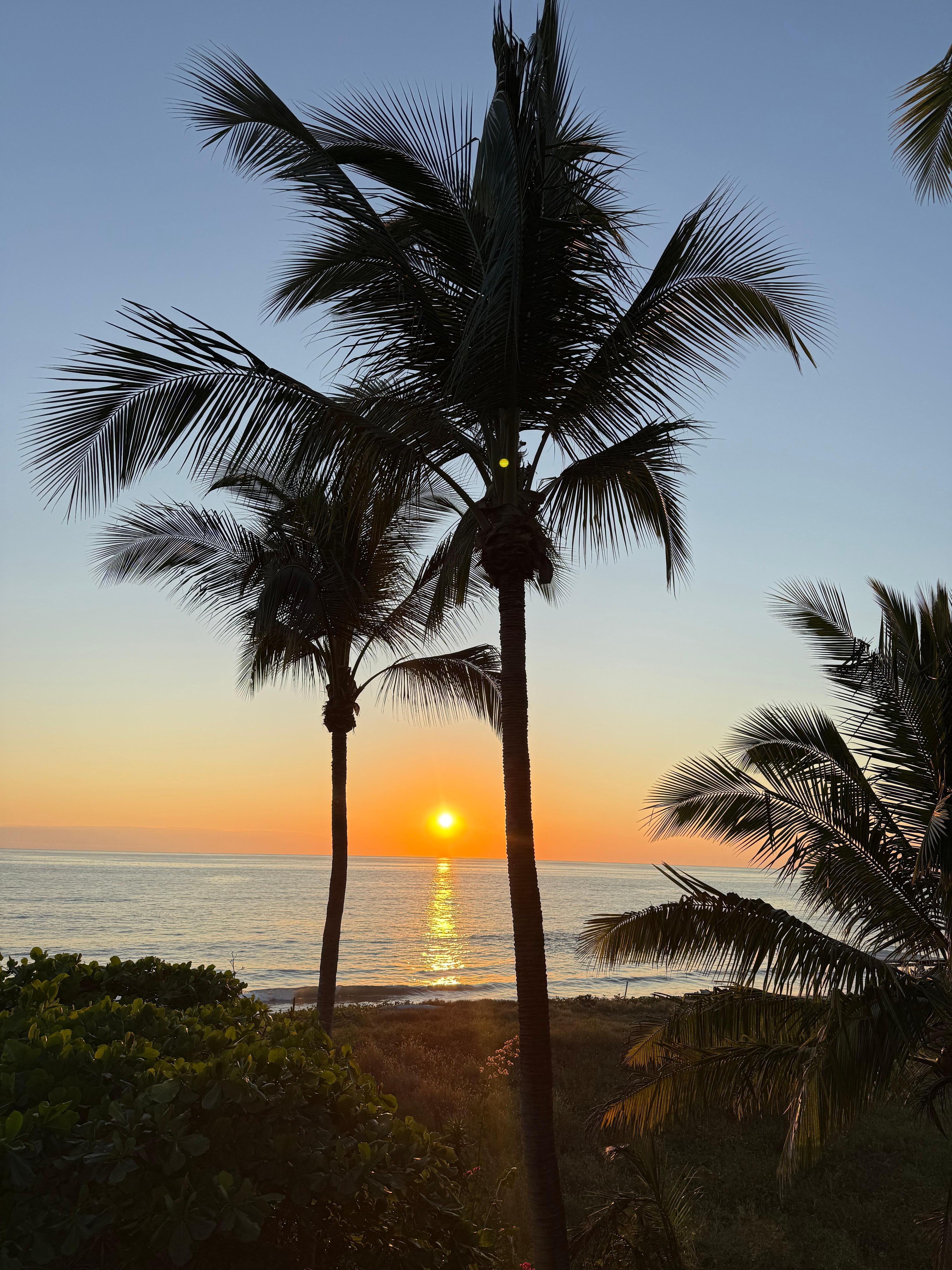 From rooftop at sunset