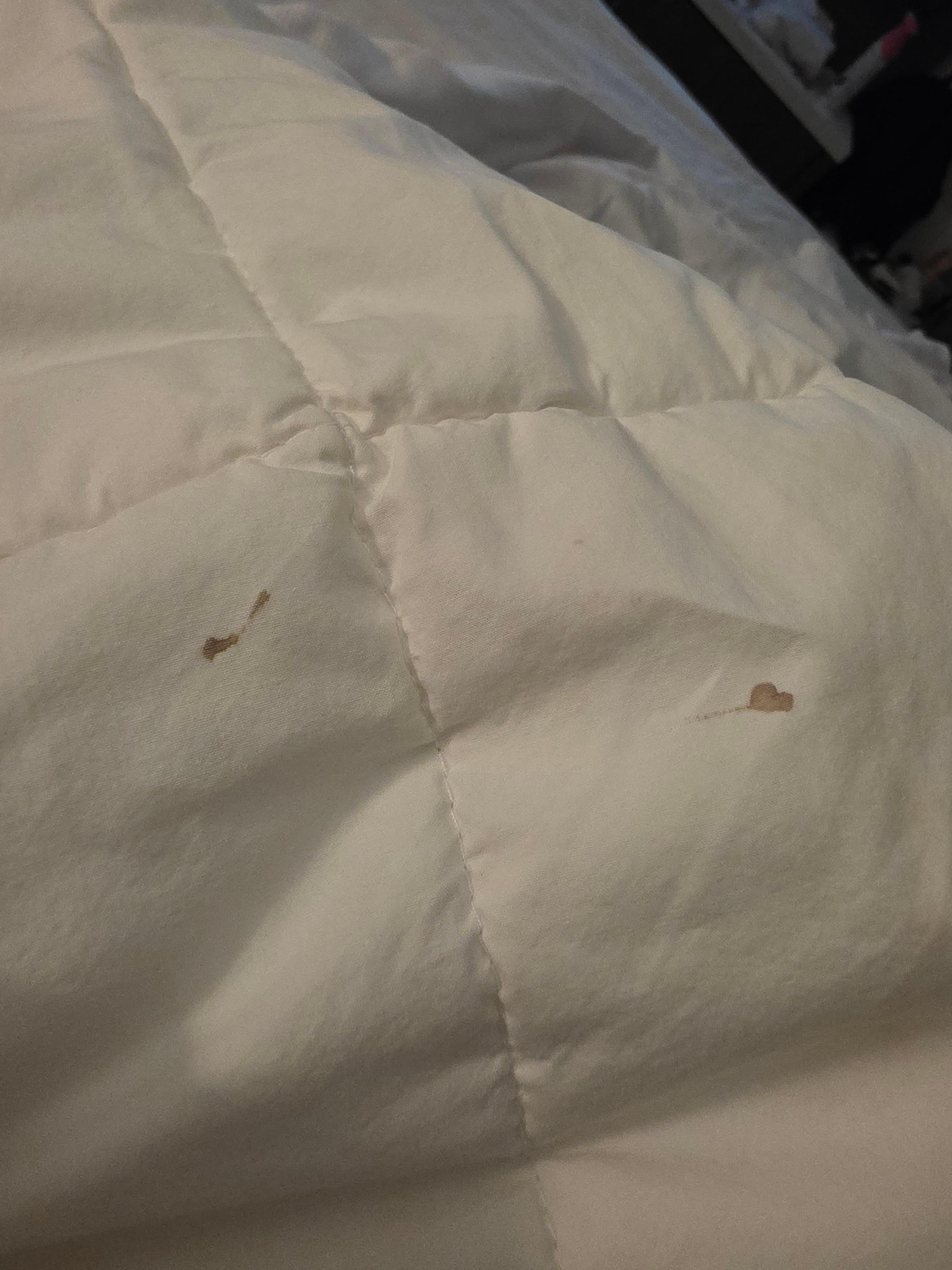 Stained/dirty comforter