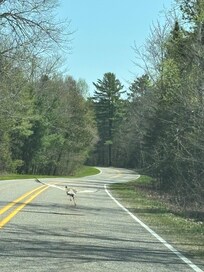 Curley Lewis Memorial Highway