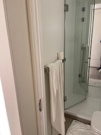 No place to hang the toilet paper. Super tiny bathroom.