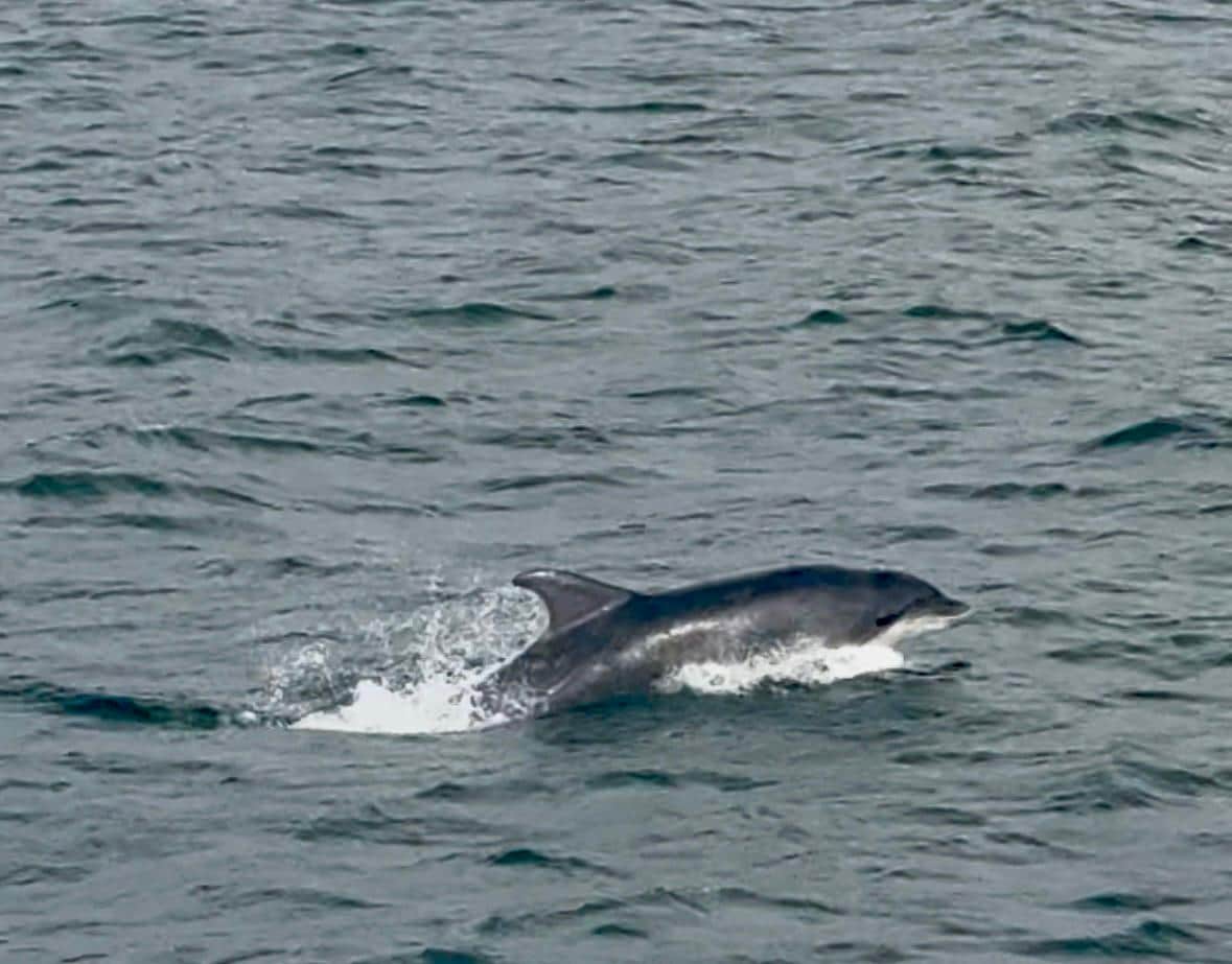 Day trip to Arranmore Island was spectacular!
