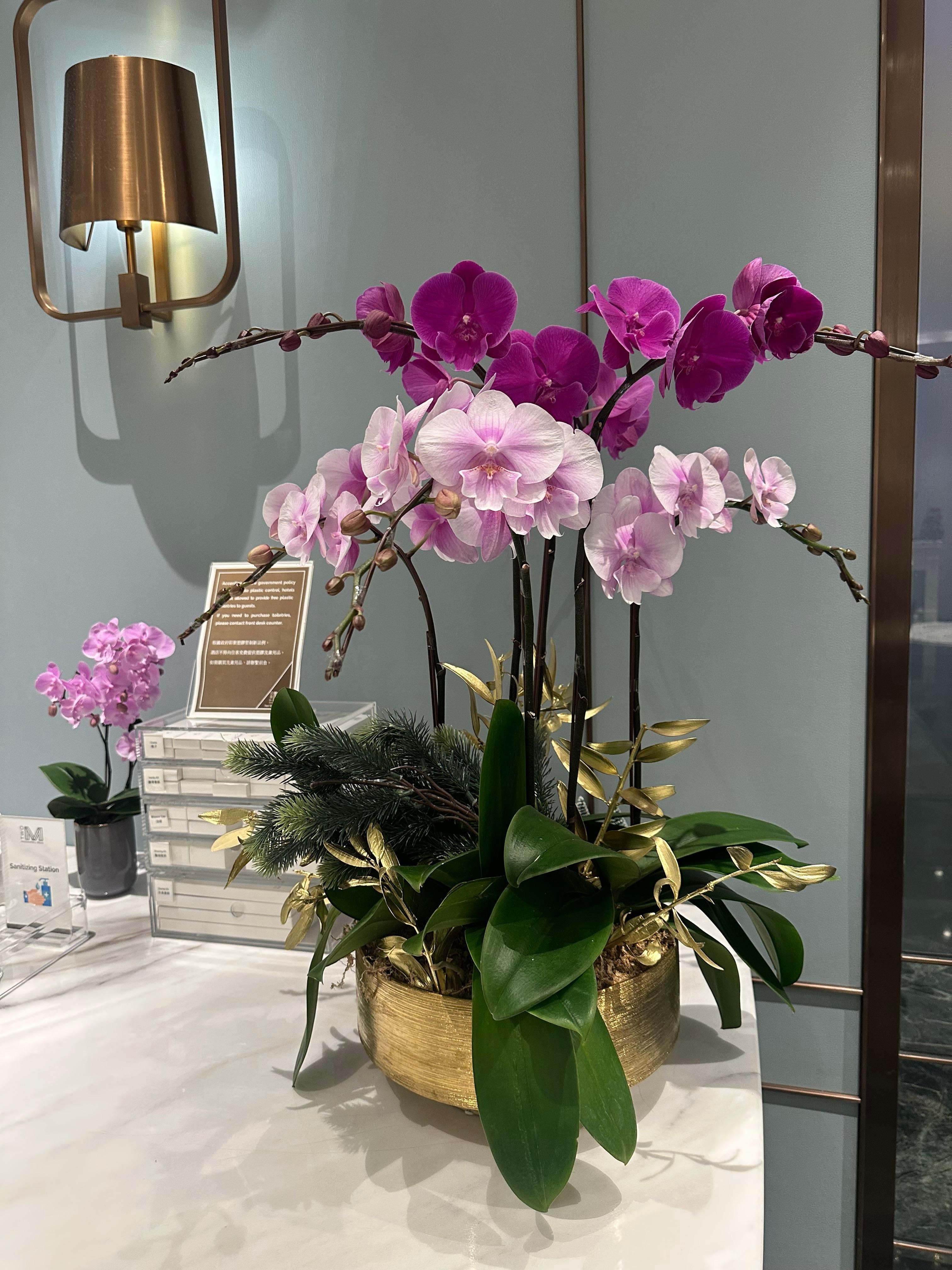 Orchid display at reception 